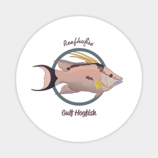 Gulf Hogfish Magnet